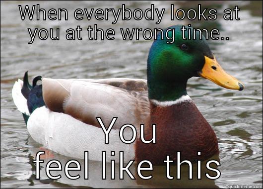 WHEN EVERYBODY LOOKS AT YOU AT THE WRONG TIME.. YOU FEEL LIKE THIS Actual Advice Mallard