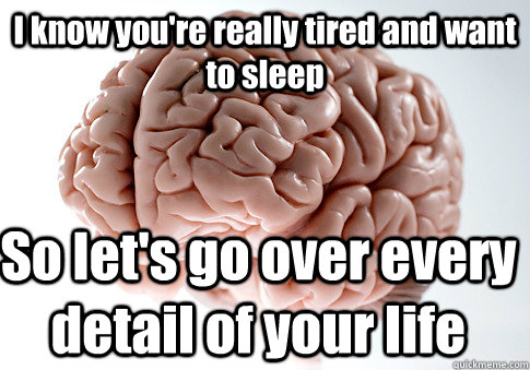 I know you're really tired and want to sleep  So let's go over every detail of your life  Scumbag Brain