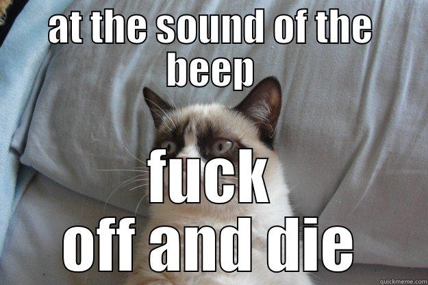 AT THE SOUND OF THE BEEP FUCK OFF AND DIE Grumpy Cat