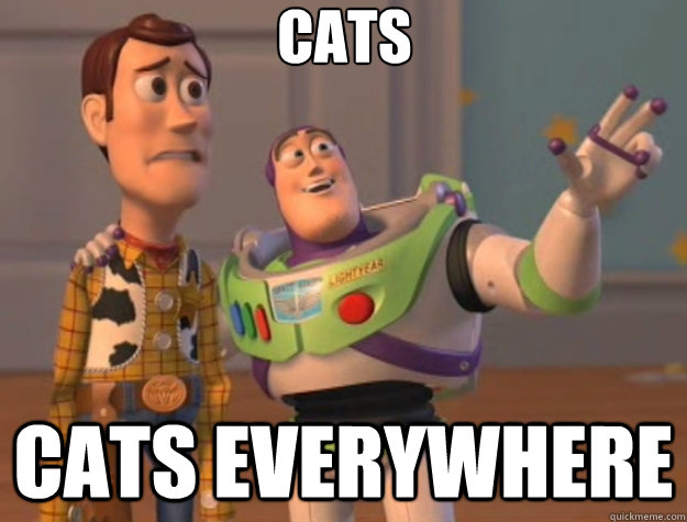 CATS CATS EVERYWHERE - CATS CATS EVERYWHERE  Toy Story