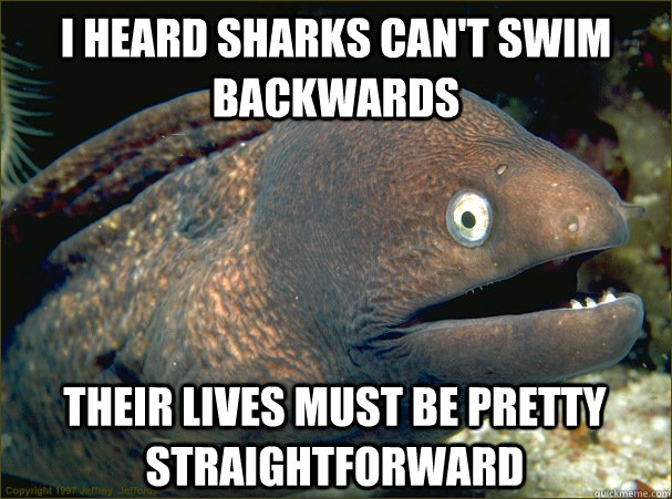 I heard sharks can't swim backwards Their lives must be pretty straightforward  Bad Joke Eel