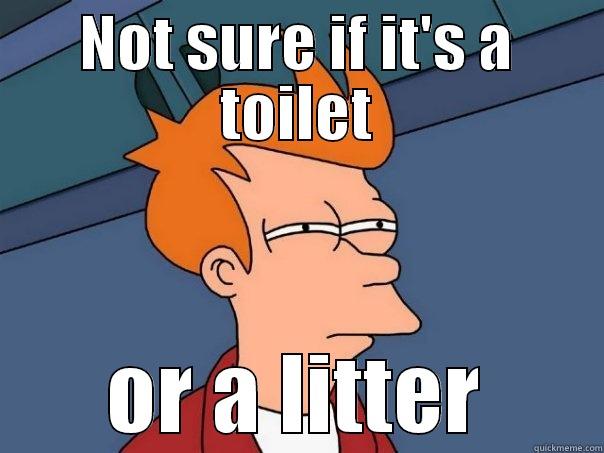 Super super boutch - NOT SURE IF IT'S A TOILET OR A LITTER Futurama Fry