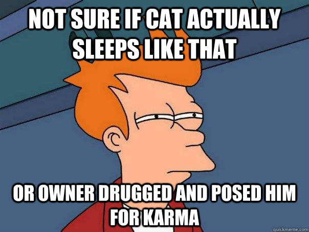 Not sure if cat actually sleeps like that Or owner drugged and posed him for karma - Not sure if cat actually sleeps like that Or owner drugged and posed him for karma  Futurama Fry