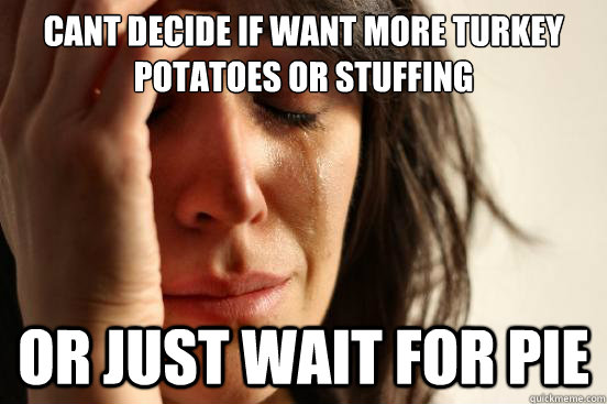 Cant decide if want more turkey potatoes or stuffing or just wait for pie - Cant decide if want more turkey potatoes or stuffing or just wait for pie  First World Problems