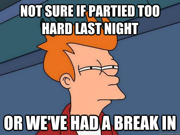 Not sure if partied too hard last night Or we've had a break in - Not sure if partied too hard last night Or we've had a break in  Futurama Fry