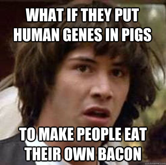 What if they put human genes in pigs To make people eat their own bacon - What if they put human genes in pigs To make people eat their own bacon  conspiracy keanu