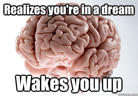 Realizes you're in a dream Wakes you up   Scumbag Brain