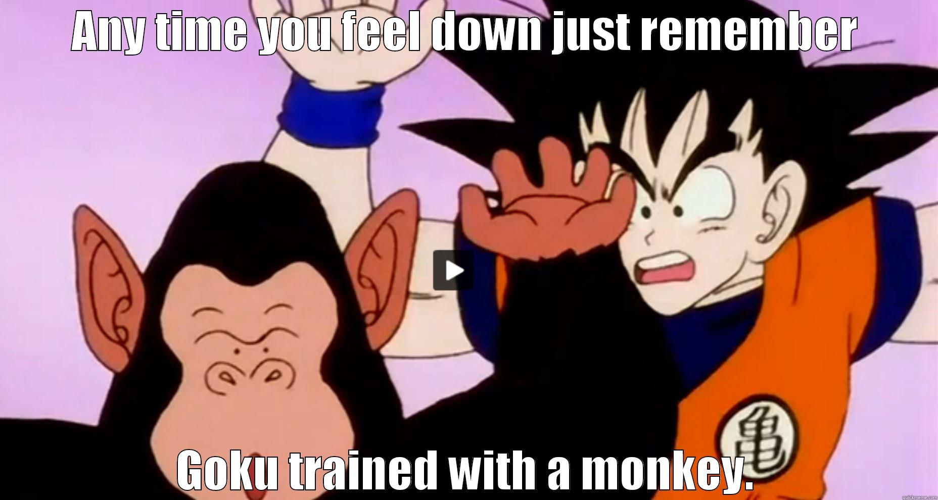 Any time you feel down, remember goku trained with a monkey. - ANY TIME YOU FEEL DOWN JUST REMEMBER GOKU TRAINED WITH A MONKEY. Misc