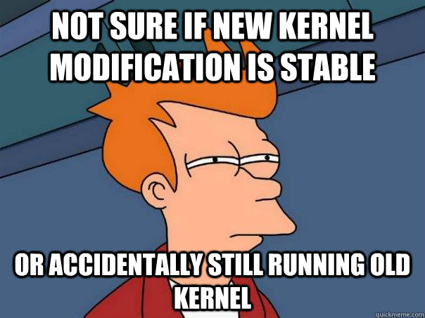 Not sure if new kernel modification is stable Or accidentally still running old kernel  Futurama Fry