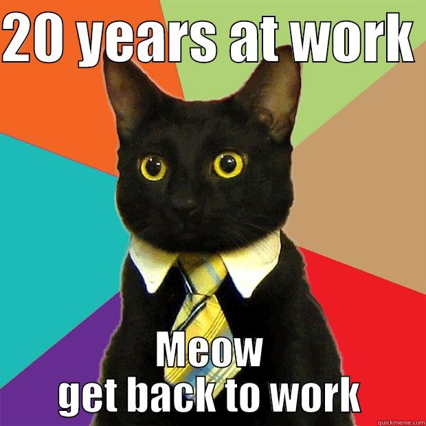 20 YEARS AT WORK  MEOW GET BACK TO WORK Business Cat