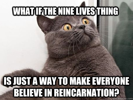 what if the nine lives thing is just a way to make everyone believe in reincarnation?  conspiracy cat