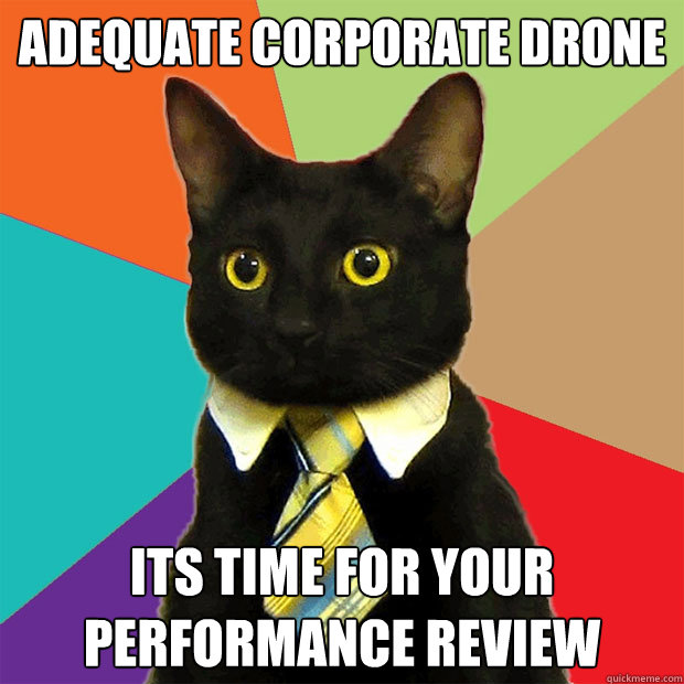 adequate corporate drone its time for your performance review  Business Cat