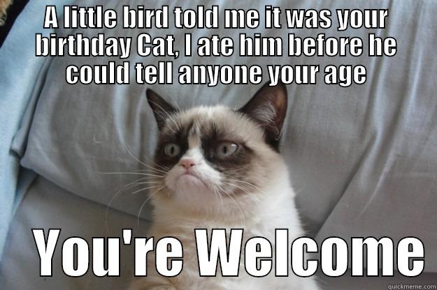 A LITTLE BIRD TOLD ME IT WAS YOUR BIRTHDAY CAT, I ATE HIM BEFORE HE COULD TELL ANYONE YOUR AGE     YOU'RE WELCOME Grumpy Cat