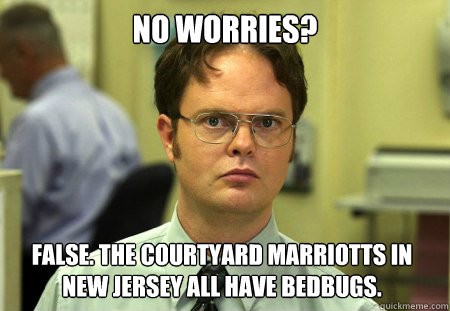 no worries? False. the courtyard marriotts in new jersey all have bedbugs. - no worries? False. the courtyard marriotts in new jersey all have bedbugs.  Dwight