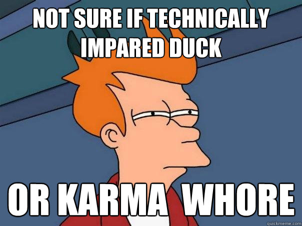 Not sure if Technically Impared Duck OR karma  whore  Futurama Fry