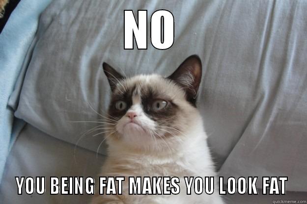 NO YOU BEING FAT MAKES YOU LOOK FAT Grumpy Cat