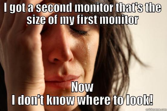 Multiple Monitor Issues - I GOT A SECOND MONITOR THAT'S THE SIZE OF MY FIRST MONITOR NOW I DON'T KNOW WHERE TO LOOK! First World Problems