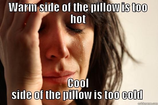 WARM SIDE OF THE PILLOW IS TOO HOT COOL SIDE OF THE PILLOW IS TOO COLD  First World Problems