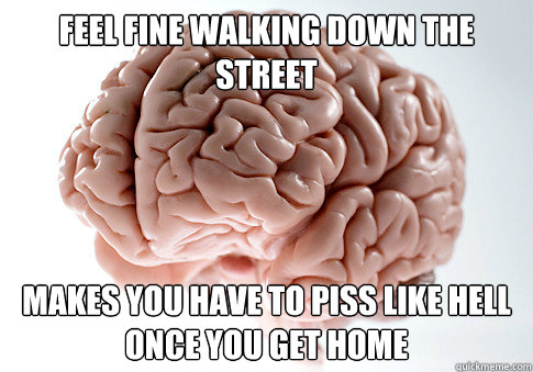 Feel fine walking down the street Makes you have to piss like hell once you get home  Scumbag Brain