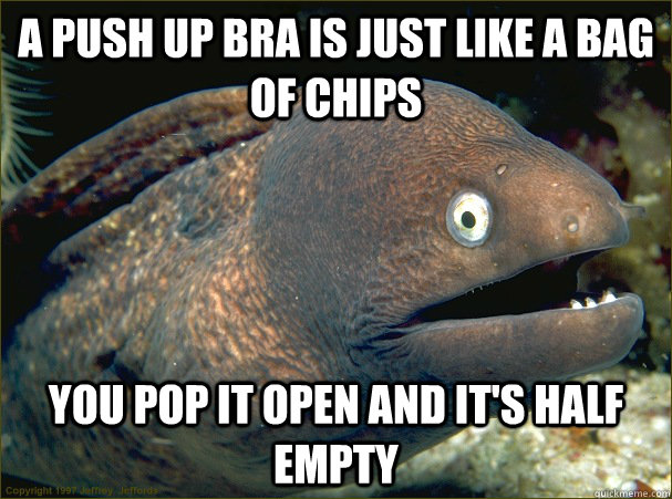 a push up bra is just like a bag of chips you pop it open and it's half empty - a push up bra is just like a bag of chips you pop it open and it's half empty  Bad Joke Eel