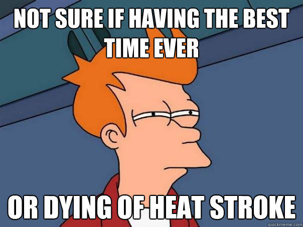 Not sure if having the best time ever  or dying of heat stroke  Futurama Fry