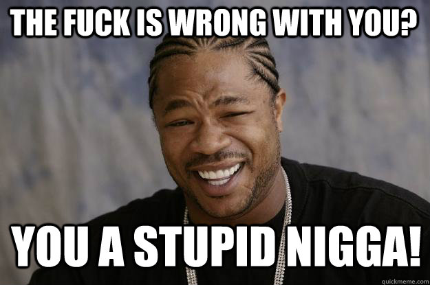 the fuck is wrong with you? you a stupid nigga!  Xzibit meme 2