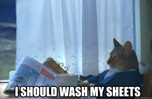 I should wash my sheets  Sophisticated Cat