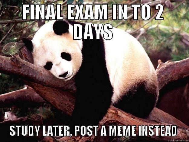 FINAL EXAM IN TO 2 DAYS STUDY LATER, POST A MEME INSTEAD Procrastination Panda