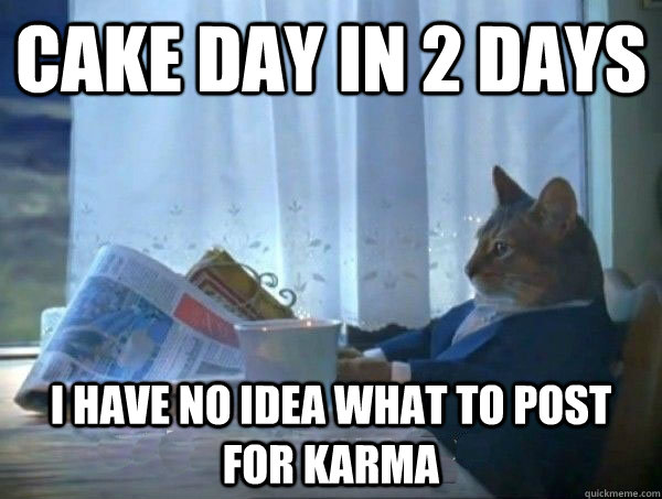 Cake day in 2 days I have no idea what to post for karma  morning realization newspaper cat meme