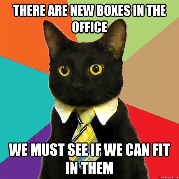 there are new boxes in the office we must see if we can fit in them  