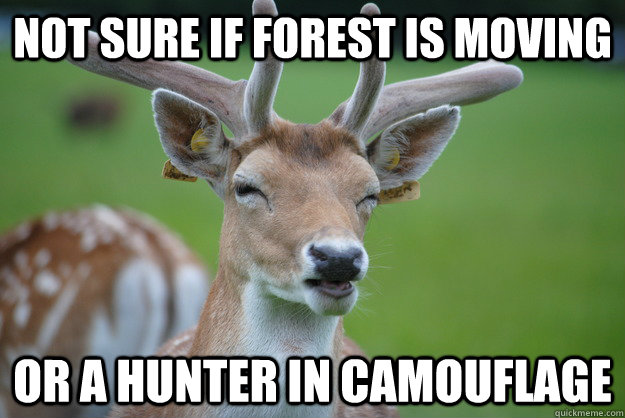 Not Sure if forest is moving Or a Hunter in camouflage - Not Sure if forest is moving Or a Hunter in camouflage  Deer Fry