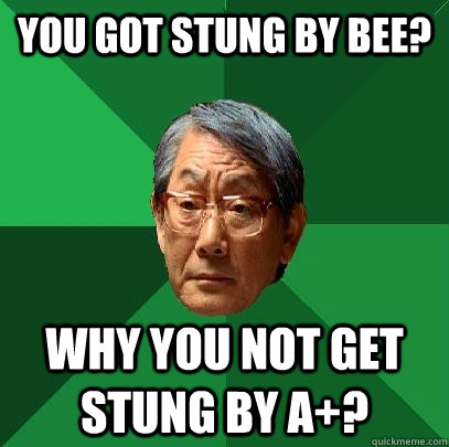 You got stung by bee? Why you not get stung by A+?  High Expectations Asian Father