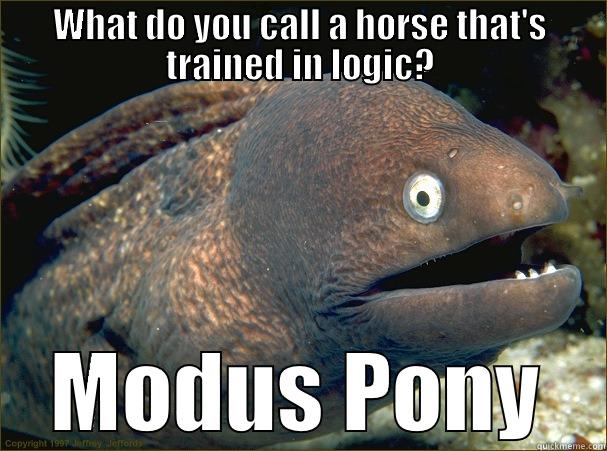 WHAT DO YOU CALL A HORSE THAT'S TRAINED IN LOGIC? MODUS PONY Bad Joke Eel