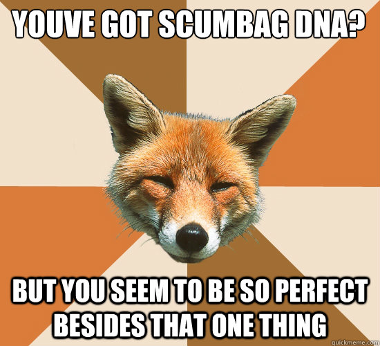 Youve got scumbag dna? but you seem to be so perfect besides that one thing  Condescending Fox