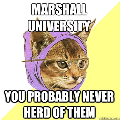 Marshall University You probably never herd of them - Marshall University You probably never herd of them  Hipster Kitty