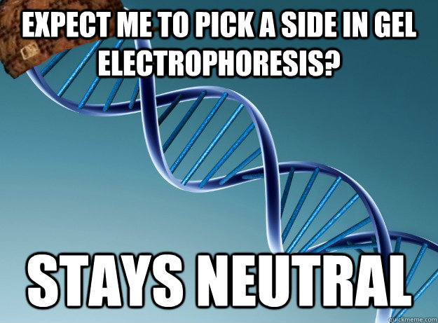 Expect me to pick a side in Gel electrophoresis? Stays neutral  Scumbag Genetics