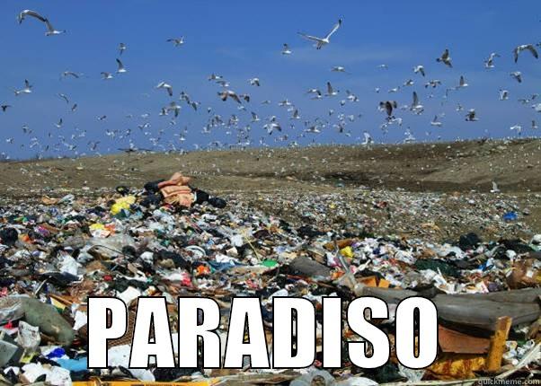  PARADISO Misc