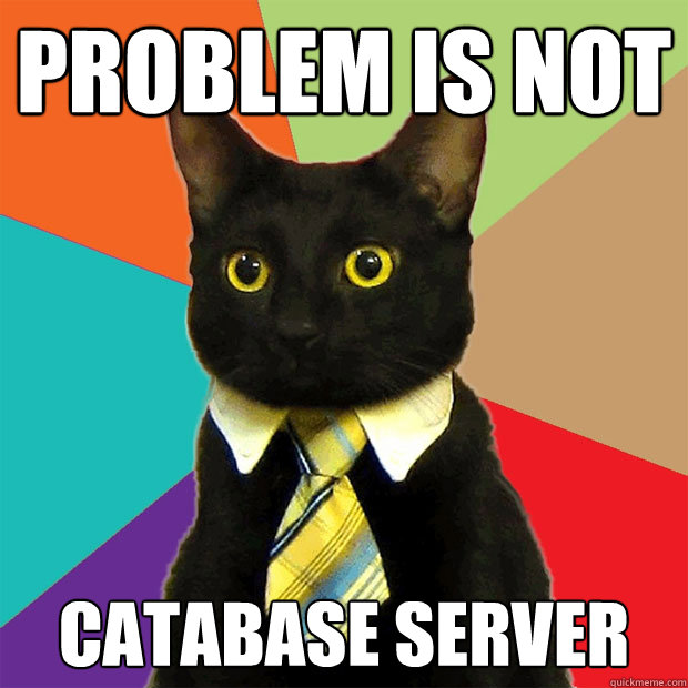 PROBLEM IS NOT CATABASE SERVER  Business Cat