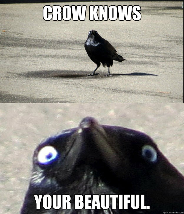 Crow knows Your beautiful.  Insanity Crow