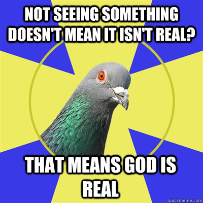 not seeing something doesn't mean it isn't real? that means god is real  Religion Pigeon