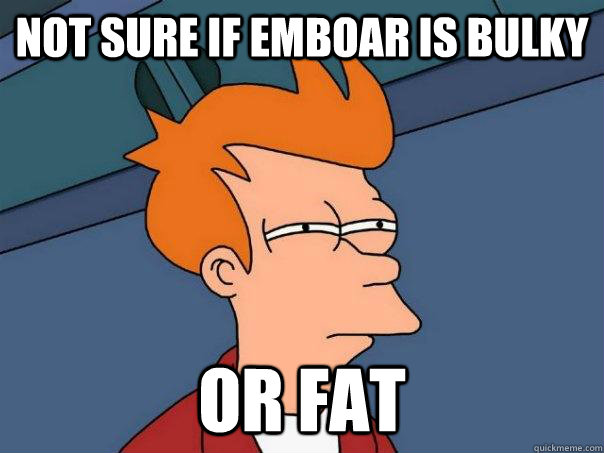 Not sure if emboar is bulky Or fat  Futurama Fry