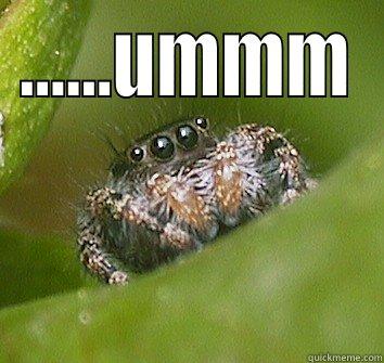 ......UMMM  Misunderstood Spider