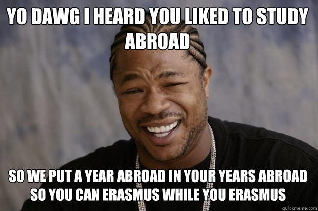 Yo dawg i heard you liked to study abroad so we put a year abroad in your years abroad so you can erasmus while you erasmus - Yo dawg i heard you liked to study abroad so we put a year abroad in your years abroad so you can erasmus while you erasmus  Xzibit meme