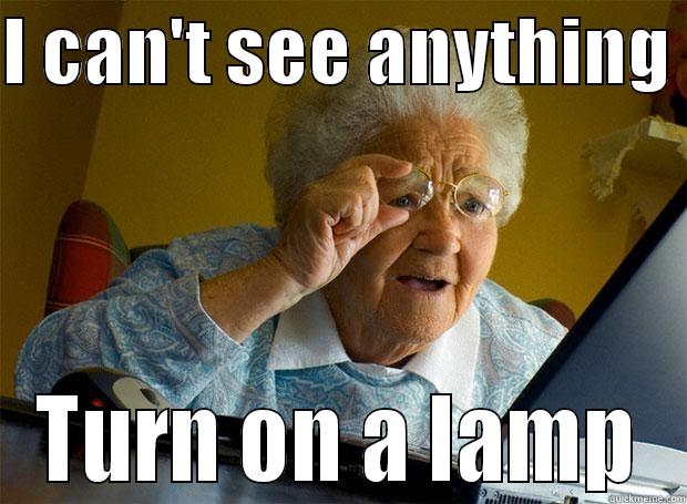 I can't  - I CAN'T SEE ANYTHING  TURN ON A LAMP Grandma finds the Internet