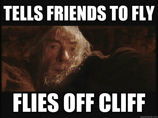 Tells friends to fly  Flies off Cliff - Tells friends to fly  Flies off Cliff  Literal Meaning Gandalf