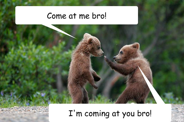 Come at me bro! I'm coming at you bro! - Come at me bro! I'm coming at you bro!  kung fu come at me