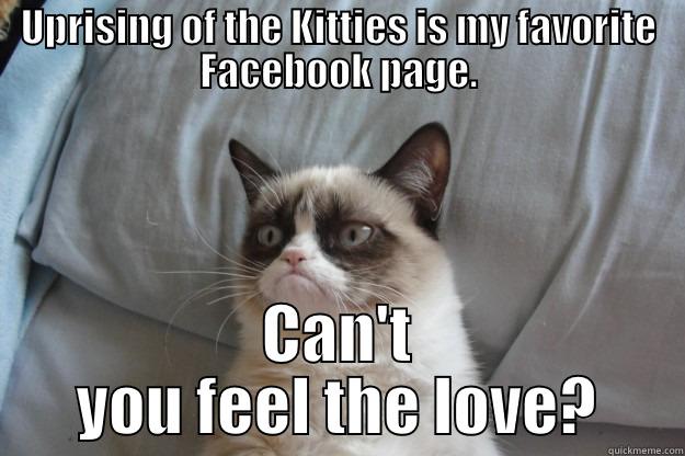 UPRISING OF THE KITTIES IS MY FAVORITE FACEBOOK PAGE. CAN'T YOU FEEL THE LOVE? Grumpy Cat