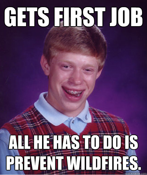 Gets first job all he has to do is prevent wildfires.  Bad Luck Brian