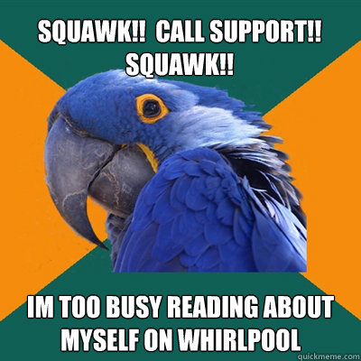 SQUAWK!!  CALL SUPPORT!!   squawk!! Im too busy reading about myself on whirlpool  - SQUAWK!!  CALL SUPPORT!!   squawk!! Im too busy reading about myself on whirlpool   Paranoid Parrot