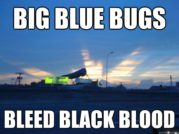 big blue bugs bleed black blood - big blue bugs bleed black blood  Lolz